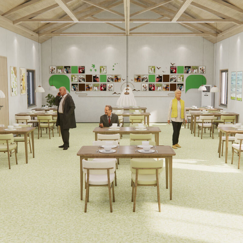 Odporna na uderzenia jednorodna podłoga z powierzchnią antyryskową dla pokoi pacjentów w domach opieki